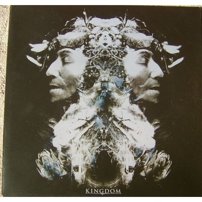 Kingdom Come - Kingdom Come (Transparent Coloured) (LP) (8721018003228)