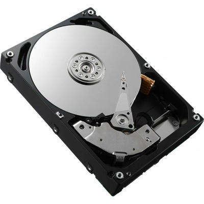 Dell 3,5" 8TB pro PE R240,R340,R350,R640,R740,T350,T550,R440,R7515,R7525,R250, 161-BBRX