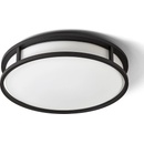 RENDL R13679
