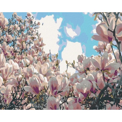 zuty Malování podle čísel Kvetoucí magnólie 100 x 80 cm bez rámu a bez vypnutí plátna 8596530006343