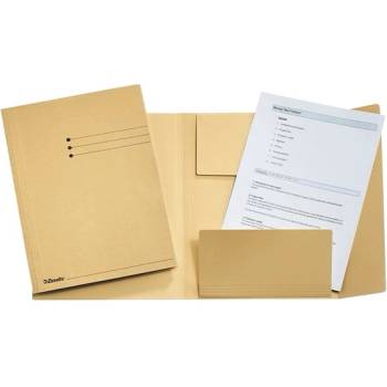 Esselte Кутия за документи esselte a/4 3-слоен картон 275 г черупка 1033304 (1033304)