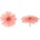 Gerbera - 4 ks
