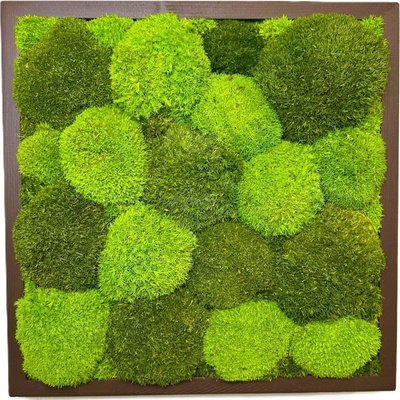 Machový obraz - kopčekový štvorec Veľkosť: 80cm x 80cm