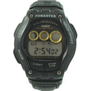 Casio FT-110 H
