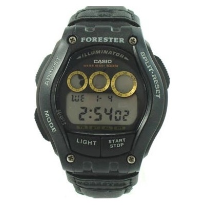 Casio FT-110 H
