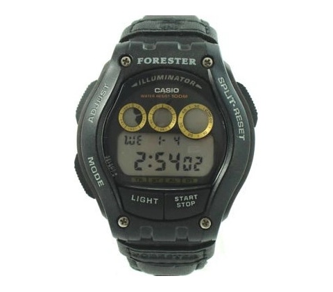 Casio FT-110 H