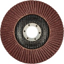 Graphite Kotouč lamelový 125 x 22,2 mm K80 55H989