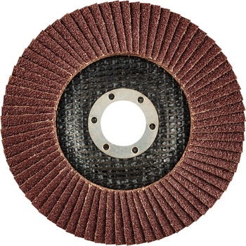 Graphite Kotouč lamelový 125 x 22,2 mm K80 55H989