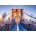Alipson Puzzle - Puzzle Brooklyn, New York - 1 000 piese