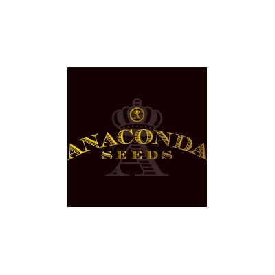 Anaconda Seeds Anaconda semena neobsahují THC 100 ks