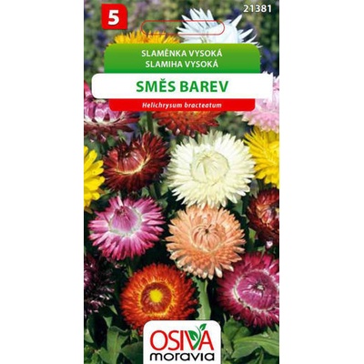 Semínka Slaměnka vysoká směs barev (Helichrysum bracteatum)