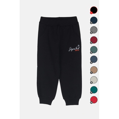 JOYCE Chlapecké zateplené tepláky BSC PANTS Modrá zelená hnědá Zelená