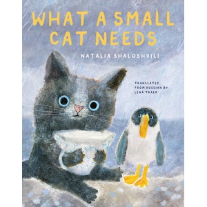 WHAT A SMALL CAT NEEDS | SHALOSHVILI NATALIA (ISBN: 9781592704774)