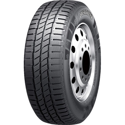 Evergreen EW616 195/75 R16 107R