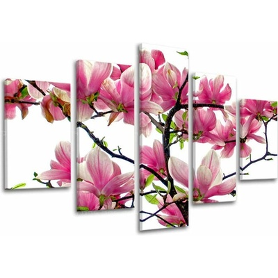 Obraz na stenu KVETY - 150x100