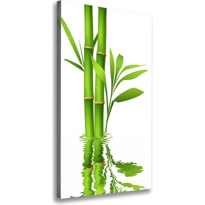 Vertikálny moderný fotoobraz canvas na ráme Bambus 50x100 cm