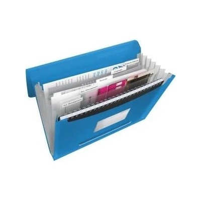 Esselte Briefcase with 6 compartments esselte vivida, blue
