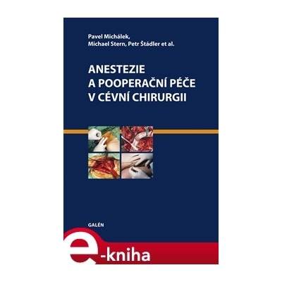 Anestezie a pooperační péče v cévní chirurgii - Petr Štádler, Pavel Michálek, Michael Stern