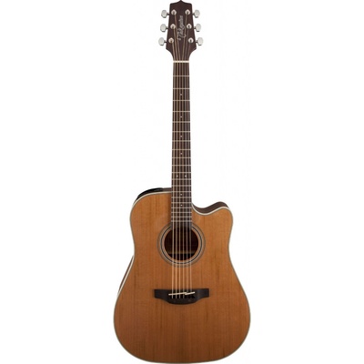 Takamine GD20CE Natural