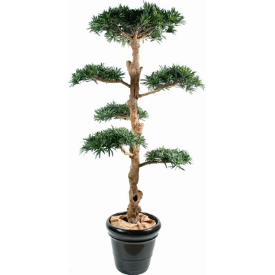 Luxusní umělý strom PODOCARPUS CLOUD WIDE, 210cm