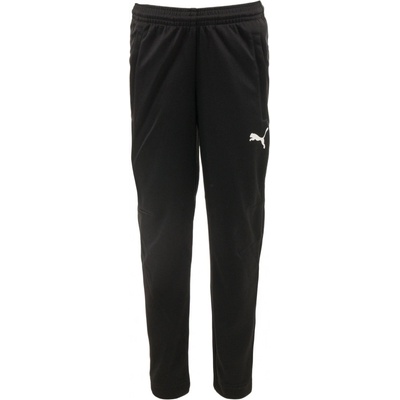 Puma Jr Traning Pant Entry blue