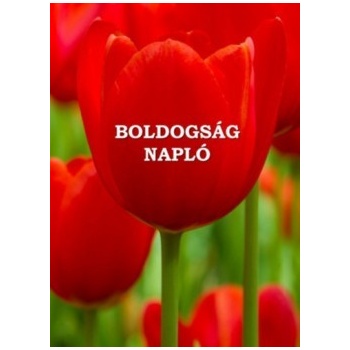 Boldogságnapló - puha kötés