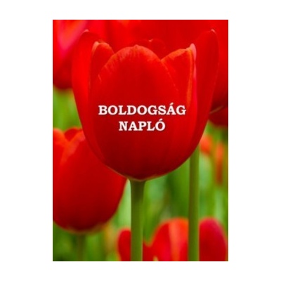 Boldogságnapló - puha kötés