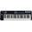 Samson Graphite 49