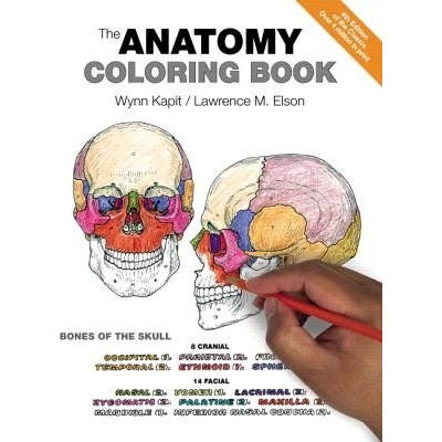 The Anatomy Coloring Book - L. Elson, W. Kapit