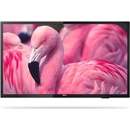 Philips 43HFL4014
