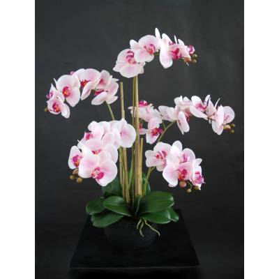 ILA Umělá rostlina Orchidej Phalaenopsis (70cm) - růžová