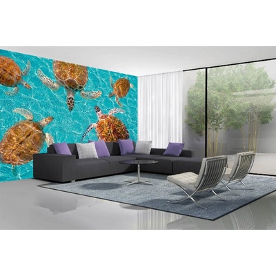 Dimex MA-5-0523 Samolepicí vliesová fototapeta na zeď Želví skupina rozměry 375 x 250 cm
