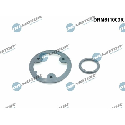 Sada těsnění, chladič oleje Dr.Motor Automotive DRM611003R