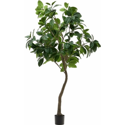 Umelý fikus (výška 210 cm) Ficus – Kave Home