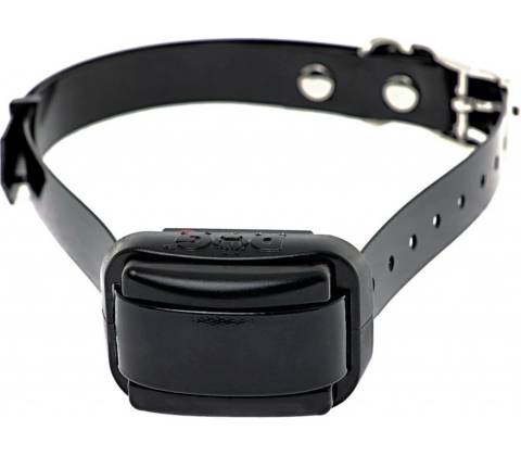 DogTrace d‑control professional 2000 mini black