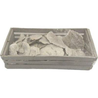 Sponge muschrom white wash, box 50 ks
