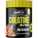 Hiro.Lab Creatine 500 g