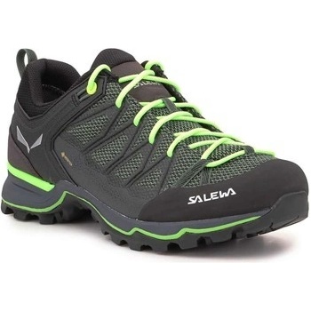 Salewa MS Pánské MTN Trainer 2 L černá zelené