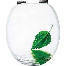 Poseidon Leaf HY-WS-1380