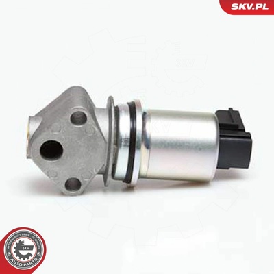 AGR-Ventil ESEN SKV 14SKV043