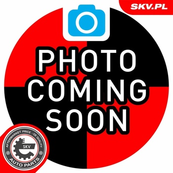 Zámek výklopných zadních dveří ESEN SKV 60SKV652