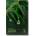 Dr. Ceuracle - Tea Tree Purifine Soothing Mask 30ml