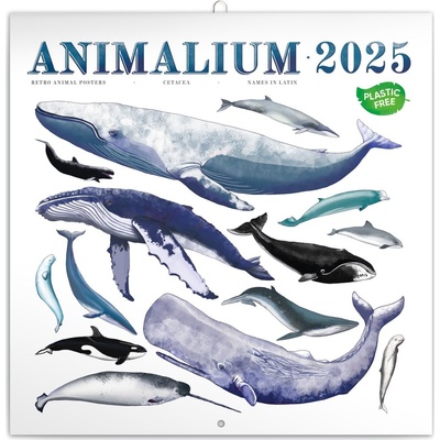 NOTIQUE Poznámkový Animalium 30 x 30 cm 2025 – Zboží Dáma