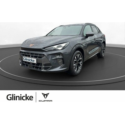 Cupra Terramar 1.5 eTSI DSG 110 kW