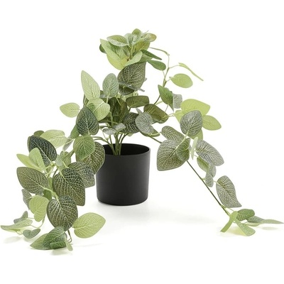 Umělá rostlina EVERGREEN, fitónie, závěsná, délka 600 mm, 1 ks