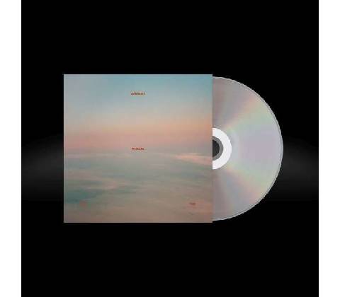 WARPAINT - RADIATE LIKE THIS CD