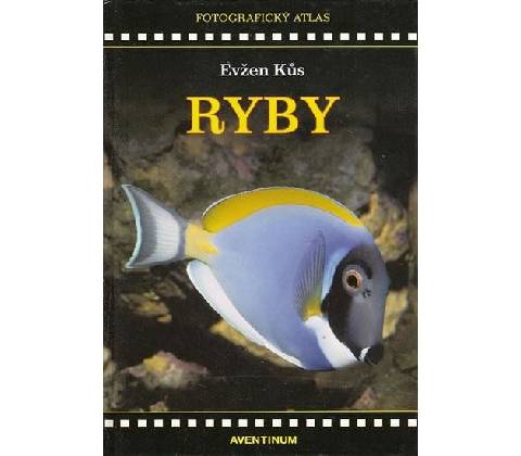 Ryby - Evžen Kůs