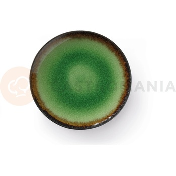 FINE DINE Plytký tanier z kameniny 25,4 cm zelený Beryl