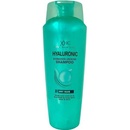 Xpel Hyaluronic Hydration Locking Shampoo 400 ml