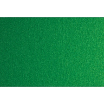 Fabriano Картон Colore, 70 x 100 cm, 200 g/m2, № 231, зелен